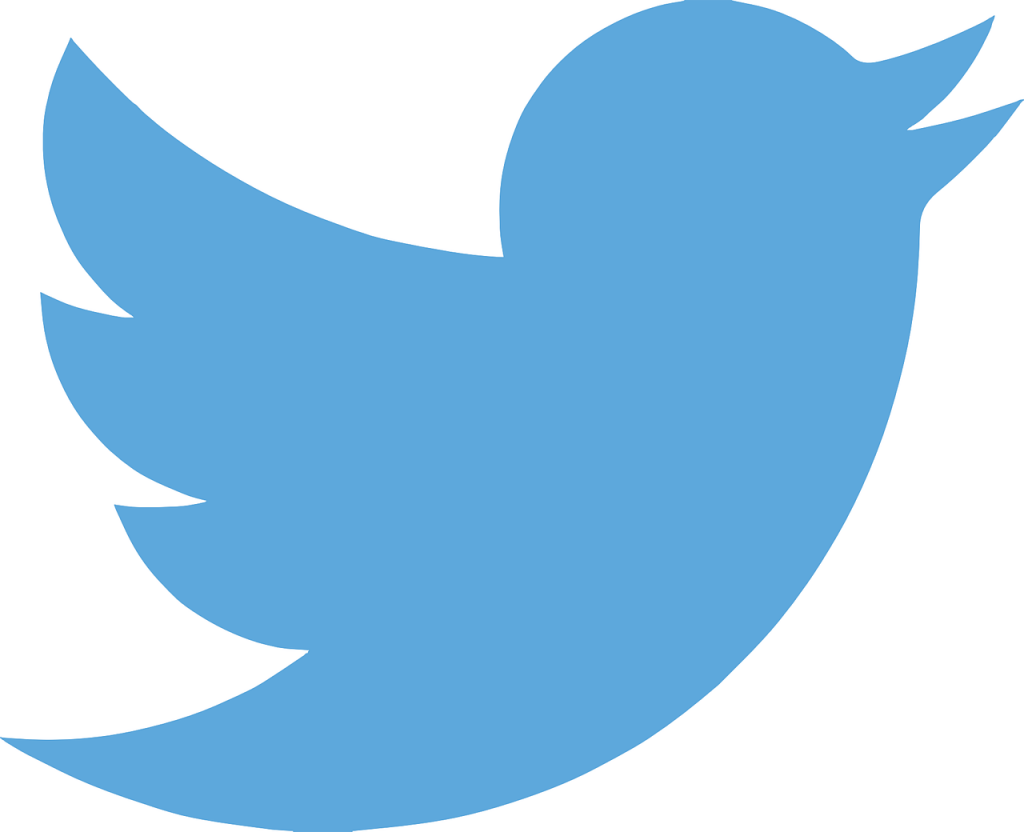 Twitter blue bird